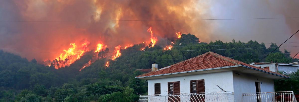 Feux de forêt et de végétation  Ministère de la Transition Écologique et  de la Cohésion des Territoires